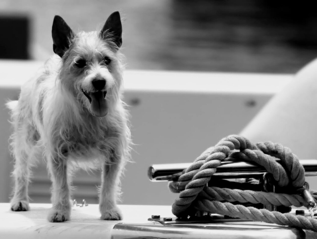 Rope